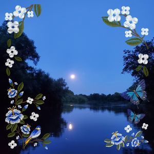 Meet your Posher, Tammy croft